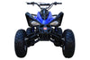New 175CC Fully Automatic Coolster ATV-3175S Full Sized ATV