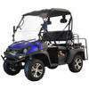 New Electric - Massimo Buck EV60 - Golf Cart UTV