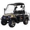 New Electric - Massimo Buck EV60 - Golf Cart UTV