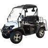 New Electric - Massimo Buck EV60 - Golf Cart UTV