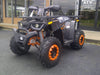 New Adult 200cc Utility - TaoTao Raptor200 - ATV - CA Carb Approved - Free Shipping atvs Wholesale ATV Grey