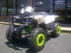 New Adult 200cc Utility - TaoTao Raptor200 - ATV - CA Carb Approved - Free Shipping atvs Wholesale ATV Green/White