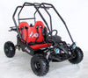 New 125cc - ACE G125 - Fully Auto w/Reverse Youth Go kart