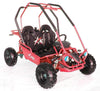 New 125cc - ACE G125 - Fully Auto w/Reverse Youth Go kart