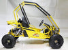 New 125cc - ACE G125 - Fully Auto w/Reverse Youth Go kart