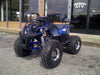 New Larger Youth - Tao Tao New TForce - Kids 125cc ATV Utility - CA Carb Approved - Free Shipping atvs Wholesale ATV