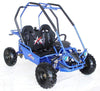 New 125cc - ACE G125 - Fully Auto w/Reverse Youth Go kart