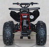New Larger Youth 125cc - ACE K125 - ATV Sport - CA Carb Approved - Free Shipping atvs Wholesale ATV