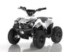 New Kids - Apollo 500 Watt - Electric ATV - Free Shipping atvs Wholesale ATV