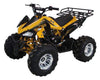 New Vitacci Jet 10 Deluxe - 125cc Fully Automatic Youth ATV with Reverse