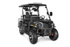 New 200cc - Vitacci Rover 200 EFI - 200cc Golf Cart UTV