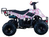 New Vitacci HAWK 110 - 110cc Youth Fully Automatic ATV
