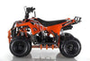 NEW 110CC - APOLLO MINI COMMANDER 110 - Mini Youth ATV w/ Reverse - CA CARB Aprroved