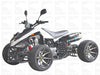New 125cc - Icebear R12 - Racing Sport ATV - Free Shipping atvs Wholesale ATV