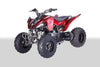 New Teen Sport 250cc - Vitacci Pentora 250 - ATV Manual Four Wheeler w Reverse - Free Shipping atvs Wholesale ATV RED (BURGUNDY)