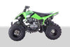 New Teen Sport 250cc - Vitacci Pentora 250 - ATV Manual Four Wheeler w Reverse - Free Shipping atvs Wholesale ATV GREEN