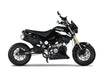 New Icebear FUERZA (PMZ125-1) - 125cc Street Legal Pocket Bike