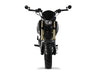 New Icebear FUERZA (PMZ125-1) - 125cc Street Legal Pocket Bike