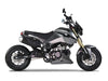 New Icebear FUERZA (PMZ125-1) - 125cc Street Legal Pocket Bike