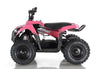New Kids - Apollo 500 Watt - Electric ATV - Free Shipping atvs Wholesale ATV