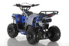 NEW 110CC - APOLLO MINI COMMANDER 110 - Mini Youth ATV (No Reverse) - CA CARB Aprroved