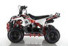 NEW 110CC - APOLLO MINI COMMANDER 110 - Mini Youth ATV (No Reverse) - CA CARB Aprroved