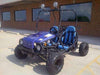 New Youth - TaoTao Jeep Auto - 125cc Kids Go Kart WITH REVERSE - Free Shipping Go karts Wholesale ATV blue 