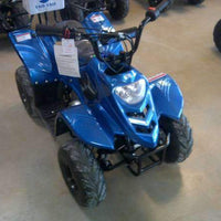 New Kids 110cc ATV - Tao Tao 110b1 - ATV with Headlight & Rack - CA Carb Approved - Free Shipping atvs Wholesale ATV 
