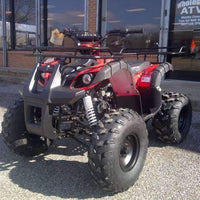 NEW LARGE YOUTH - TAO TAO TFORCE - UTILITY 125cc Kids ATV - CA Carb Approved - Free Shipping atvs Wholesale ATV 