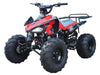 New Youth - Tao Tao G125 Cheetah 125cc Sport ATV - CA Carb Approved