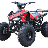 New Youth - Tao Tao G125 Cheetah 125cc Sport ATV - CA Carb Approved