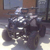 New Small Wheel Youth - Tao Tao 125D - Utility ATV - CA Carb Approved - Free Shipping atvs Wholesale ATV 