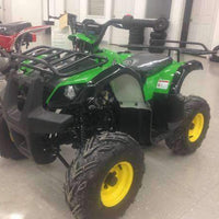 New Small Wheel Youth - Tao Tao 125D - Utility ATV - CA Carb Approved - Free Shipping atvs Wholesale ATV 