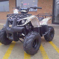 New Small Wheel Youth - Tao Tao 125D - Utility ATV - CA Carb Approved - Free Shipping atvs Wholesale ATV 