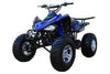 New Adult 150cc Sport - Coolster 3150cxc - 150cc ATV -CA Carb Approved - Free Shipping atvs Wholesale ATV Blue 