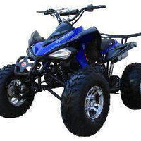 New Adult 150cc Sport - Coolster 3150cxc - 150cc ATV -CA Carb Approved - Free Shipping atvs Wholesale ATV Blue 