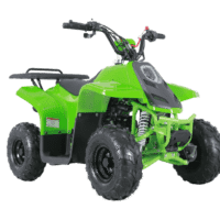 New Tao Tao ROCK110 - 110cc Fully Automatic Youth ATV w/ Reverse