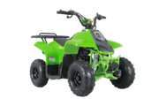 New Tao Tao ROCK110 - 110cc Fully Automatic Youth ATV w/ Reverse