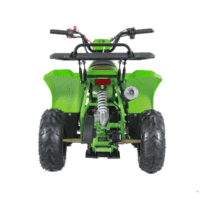New Tao Tao ROCK110 - 110cc Fully Automatic Youth ATV w/ Reverse