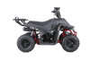 New Tao Tao ROCK110 - 110cc Fully Automatic Youth ATV w/ Reverse