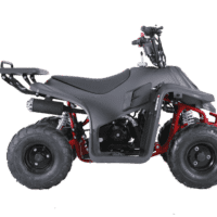 New Tao Tao ROCK110 - 110cc Fully Automatic Youth ATV w/ Reverse
