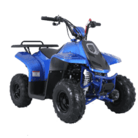New Tao Tao ROCK110 - 110cc Fully Automatic Youth ATV w/ Reverse