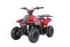 New Tao Tao ROCK110 - 110cc Fully Automatic Youth ATV w/ Reverse