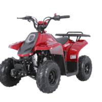 New Tao Tao ROCK110 - 110cc Fully Automatic Youth ATV w/ Reverse