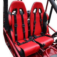 New Adult 200cc - Tao Tao Targa 200 Go Kart - Free Shipping Go karts Wholesale ATV 