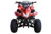 New Coolster ATV-3125A2 - 125CC Fully Automatic Mid Size Youth ATV - CA Carb Approved