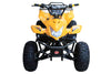 New Coolster ATV-3125A2 - 125CC Fully Automatic Mid Size Youth ATV - CA Carb Approved