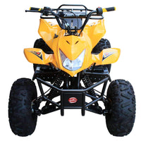 New Coolster ATV-3125A2 - 125CC Fully Automatic Mid Size Youth ATV - CA Carb Approved
