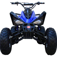 New 175CC Fully Automatic Coolster ATV-3175S Full Sized ATV