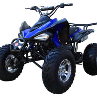 New 175CC Fully Automatic Coolster ATV-3175S Full Sized ATV